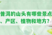 普洱的山頭有哪些景點(diǎn)、產(chǎn)區(qū)、植物和地方？