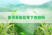 普洱茶能在零下存放嗎