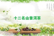 十二名山普洱茶