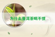 為什么普洱茶喝不慣