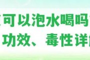 青皮可以泡水喝嗎？泡法、功效、毒性詳解