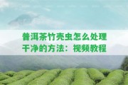 普洱茶竹殼蟲(chóng)怎么解決干凈的方法：視頻教程