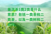 普洱茶1類2類是什么意思？包含一類茶和二類茶，以及一類樹和二類樹。