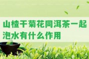 山楂干菊花同洱茶一起泡水有什么作用