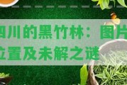 四川的黑竹林：圖片、位置及未解之謎