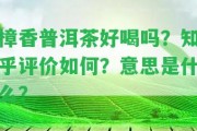 樟香普洱茶好喝嗎？知乎評價怎樣？意思是什么？