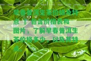 早春普洱生茶價(jià)格及特點(diǎn) – 包含價(jià)格表和圖片，熟悉早春普洱生茶價(jià)格多少，以及其特點(diǎn)。