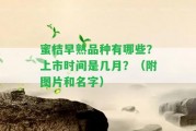 蜜桔早熟品種有哪些？上市時間是幾月？（附圖片和名字）