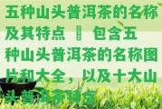 五種山頭普洱茶的名稱及其特點(diǎn) – 包含五種山頭普洱茶的名稱圖片和大全，以及十大山頭普洱茶特點(diǎn)