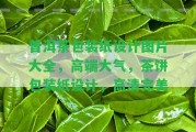 普洱茶包裝紙?jiān)O(shè)計(jì)圖片大全，高端大氣，茶餅包裝紙?jiān)O(shè)計(jì)，高清完美