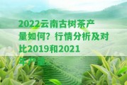 2022云南古樹茶產量怎樣？行情分析及對比2019和2021年產量。