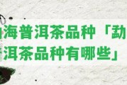 勐海普洱茶品種「勐海普洱茶品種有哪些」