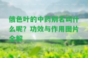 俄色葉的中藥別名叫什么呢？功效與作用圖片全解