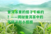 普洱茶里的棍子干嘛的？——揭秘普洱茶中的茶桿子和小棍棍