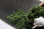 普洱茶的銷量、渠道、數(shù)量和排名情況分析