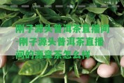 剛子源頭普洱茶直播間-剛子源頭普洱茶直播間的源章茶怎么樣