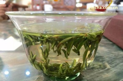 龍印班章普洱熟茶價格及禮盒，一斤多少錢？