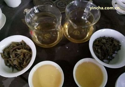 普洱茶臺(tái)地茶的意義、區(qū)別和適宜飲用，與古樹茶和生態(tài)茶的異同