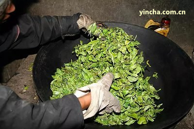 喝普洱茶會(huì)抑制食欲嗎？女性有效嗎？