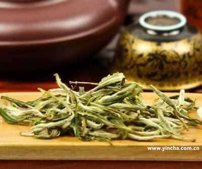 普洱茶博覽會官網(wǎng)：2021年云南普洱茶博覽會開幕，展覽會精彩呈現(xiàn)。