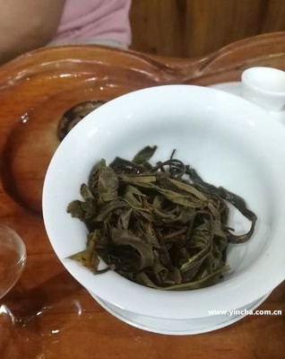 鈞翔號普洱茶官網(wǎng)-冰島普洱茶價(jià)格，云南鈞翔號茶業(yè)。