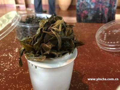 普洱茶熟茶哪個牌子好啊？知乎女士推薦的品牌大揭秘