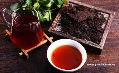 云南普洱茶是熱性還是涼性？屬于什么茶類？