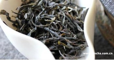 龍印班章普洱熟茶價格及禮盒，一斤多少錢？