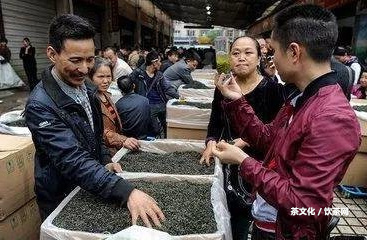 普洱茶高提香工藝流程及相關(guān)特點