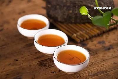 大黑森林普洱茶價格及圖片大全，包含特點！