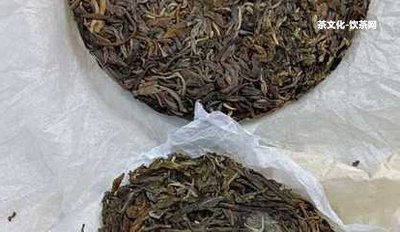 雨林古樹(shù)茶屬于生普還是熟普茶或洱？