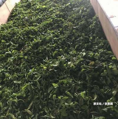 普洱茶集散中心在哪個城市？普洱茶城、茶葉市場在何處？