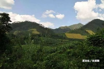 南平熟普洱茶代加工廠在哪里？怎樣解決普洱茶的發(fā)酵？熟悉普洱茶的制作工藝和保存方法！