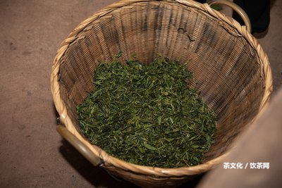 普洱茶直播平臺推薦，熟悉哪些好、火，以及有哪些好用的？