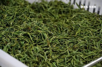 普洱蟲屎茶是什么茶，怎么做的，多少錢一斤？