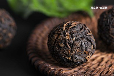 老班章幾種茶樹品種及其茶葉品質(zhì)