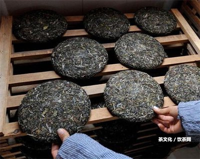 普洱茶什么時(shí)候流行的？歷興起與文化傳承