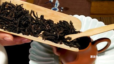 勐傣的茶怎么樣？值得買嗎？——勐傣茶業(yè)