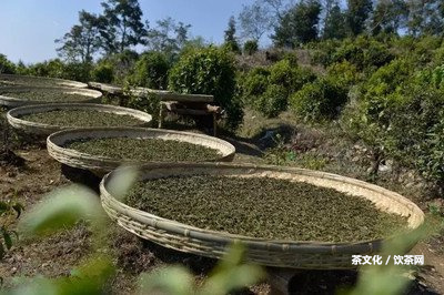 怎么泡普洱茶熟茶茶餅視頻教程