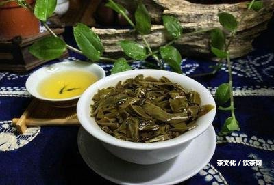 中星普洱茶品牌合集分享：哪個(gè)型號(hào)好？