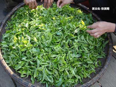 九五陳磚是什么茶，價(jià)格、名稱及茶葉特點(diǎn)全解析