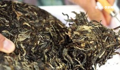 帝泊洱普洱茶珍：一款全面解析其獨特魅力與健益處的深度探討