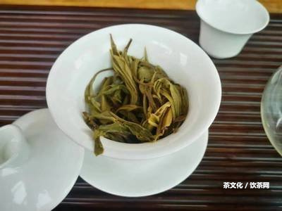 喝普洱茶身上有疙瘩是過敏了嗎？怎樣治療？附圖片！