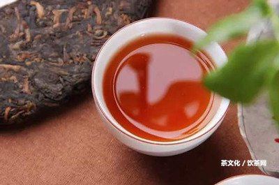 圣和茶業(yè)普洱價(jià)格多少一斤？-官網(wǎng)產(chǎn)品全解讀