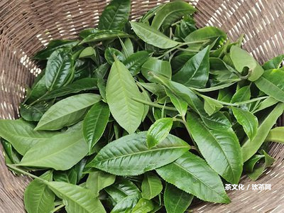 御香普洱茶系列：陳香、茗香、君膏50g