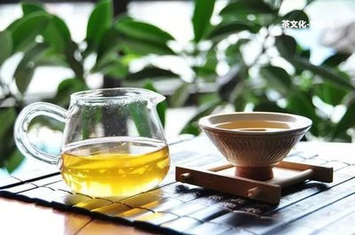 熟普可以加什么一起泡茶，搭配何種茶點(diǎn)最佳？