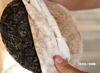 普洱茶會通便嗎？喝法、作用及原理一網(wǎng)打盡