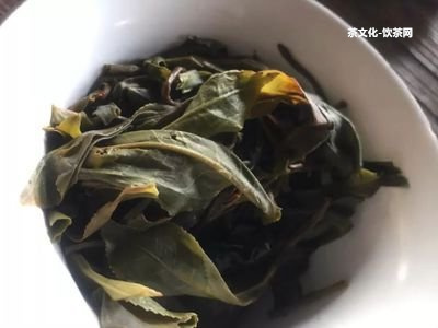 普洱白茶的特點(diǎn)和口感：屬于何種茶？介紹和評(píng)價(jià)