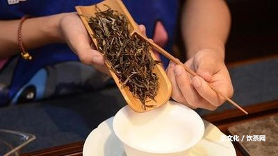 云南的普洱茶有什么品牌好？