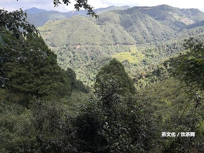 普洱茶方餅怎么撬開(kāi)的方法及圖解